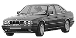 BMW E34 P0604 Fault Code